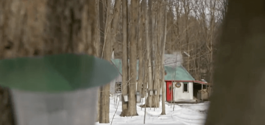 Des deux boisés in the community of La Présentation