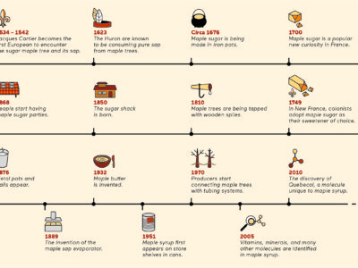 Chronological history of maple