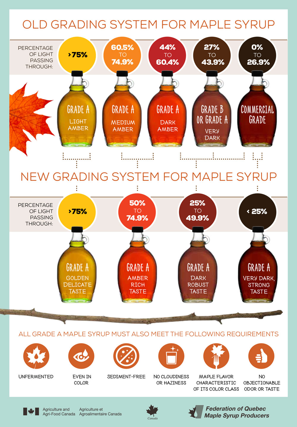 Maple Syrup Grades Chart