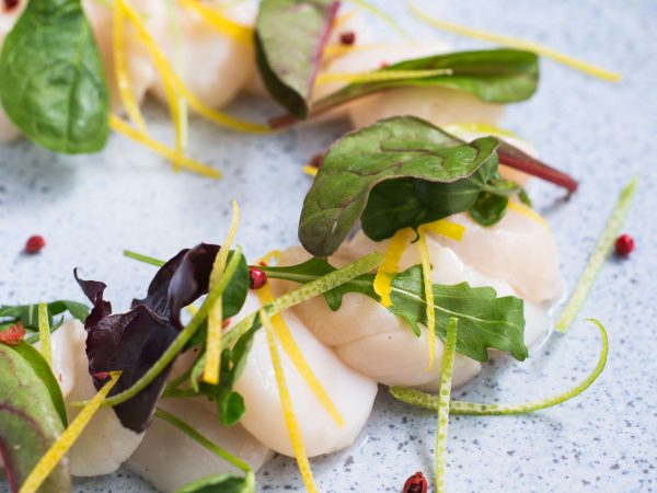 Scallop-ceviche.jpg