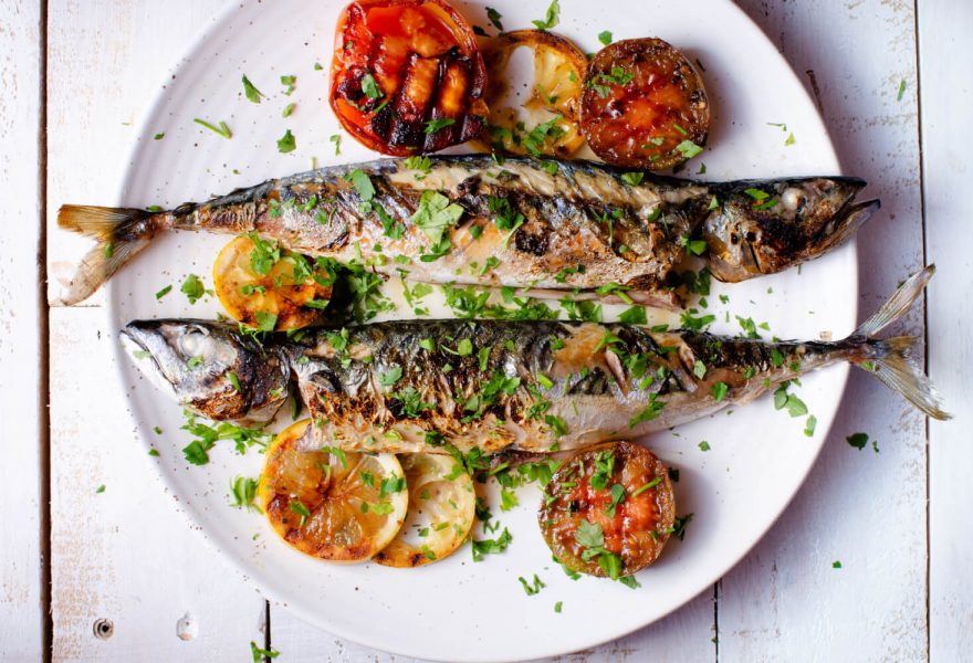 Maple and soy glazed mackerel; seafood