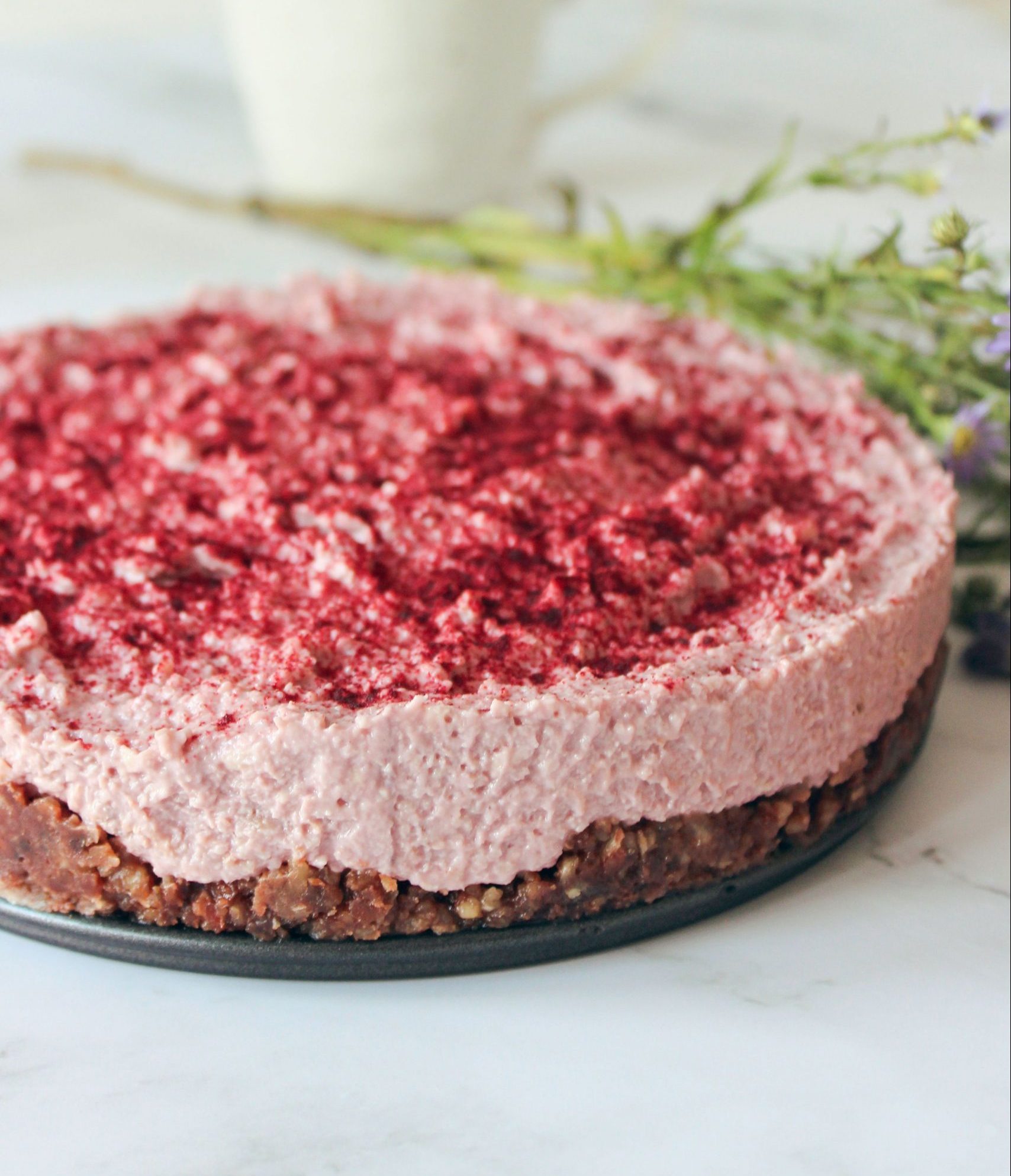 Francesca Willow's No Bake Maple Rhubarb Cake - Maple from Canada